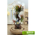 Bình thủy tinh Terrarium hiện đại có mái vòm trung tâm